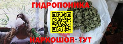 соль ск Гусев