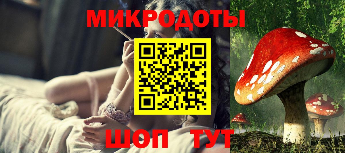 Галлюциногенные грибы Cubensis Обь